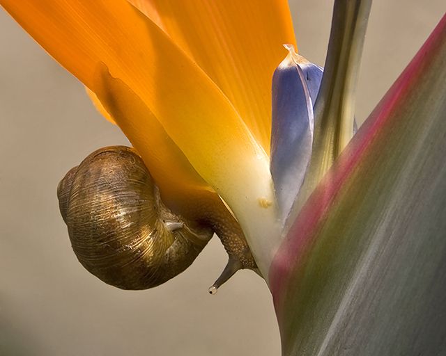 Slow Down!