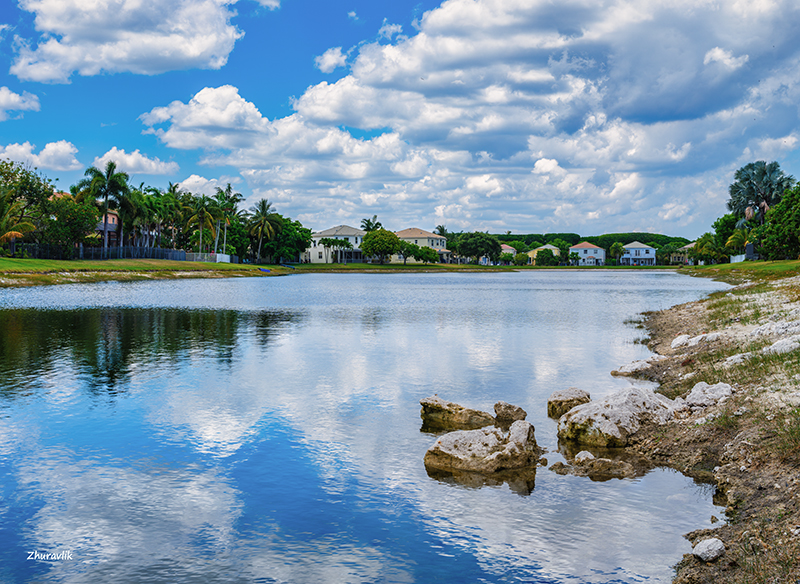 Cloudy day in my neighborhood