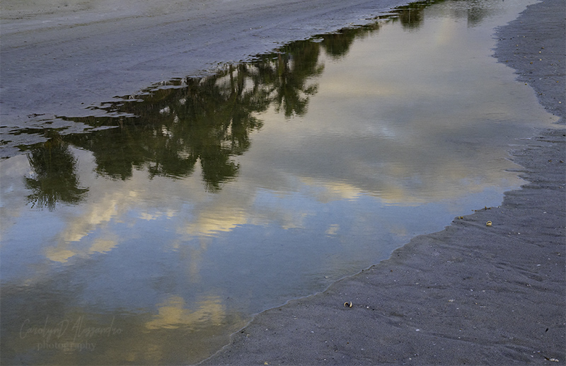 In a puddle