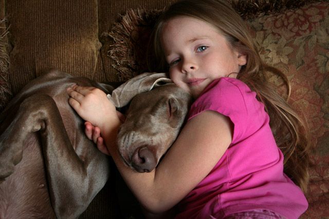 Nap Buddy