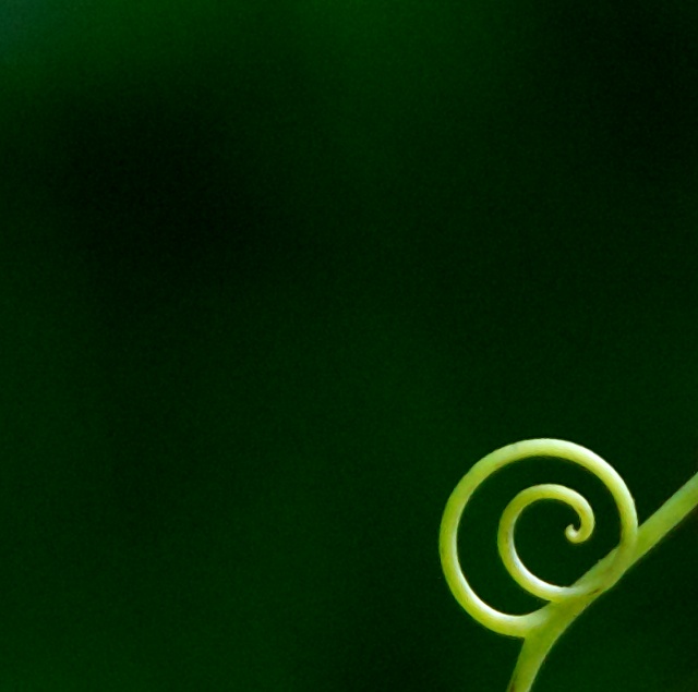 Green &amp; Green