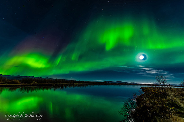 Northern Lights Overhead