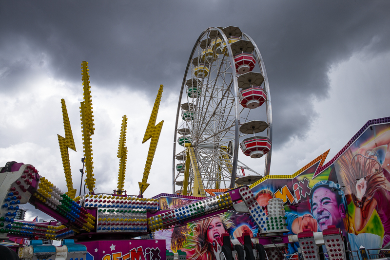 Brave Enough for a Ride?
