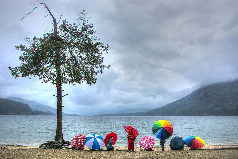Umbrellas