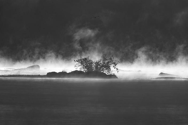 Shadow River