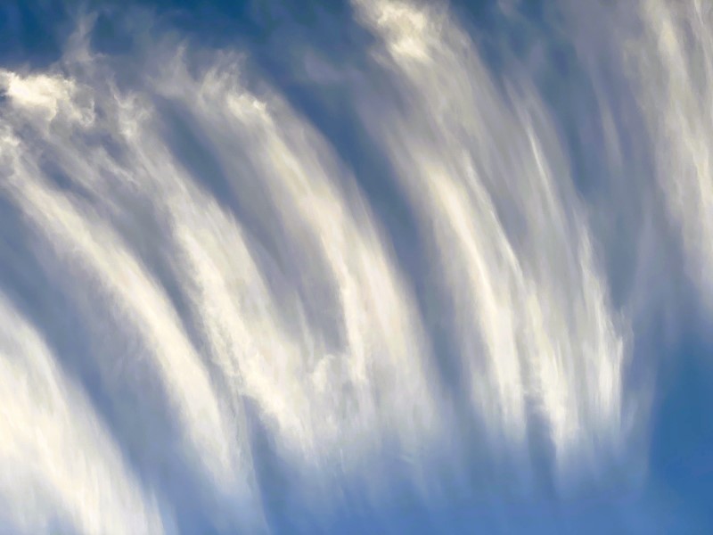 Wind Blown Stripes