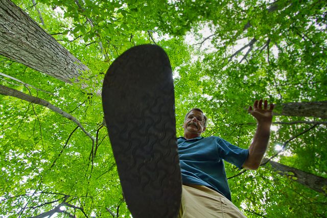 Bug's Eye View