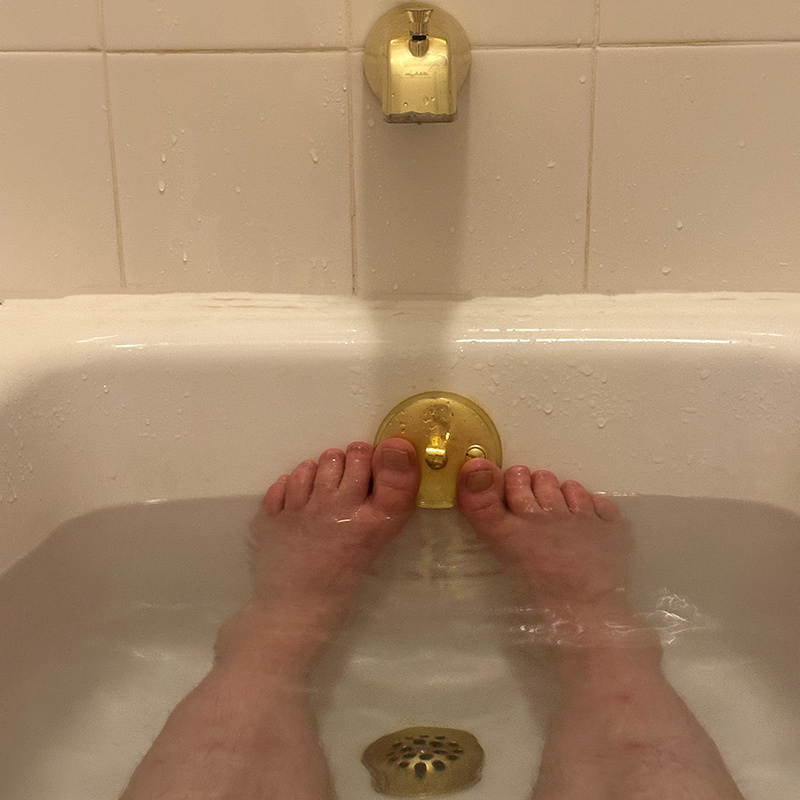 Self Portrait
