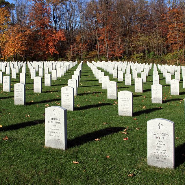 Shadows of Service
