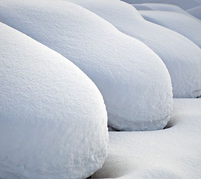 Snowed over