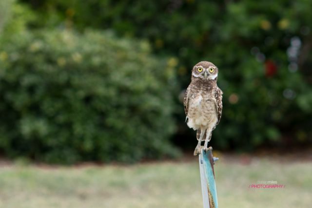 You tawkin' to me?