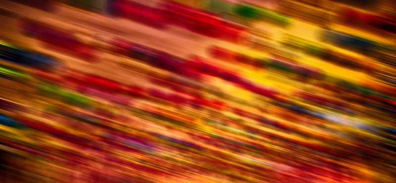 A Blur of Wild Colors.
