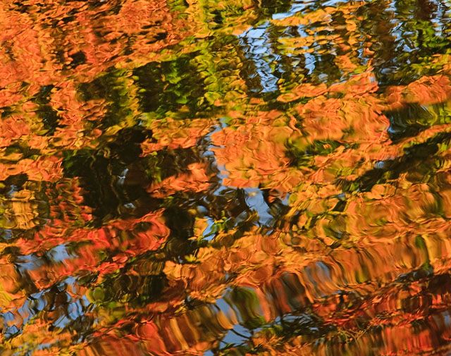 Autumn abstract
