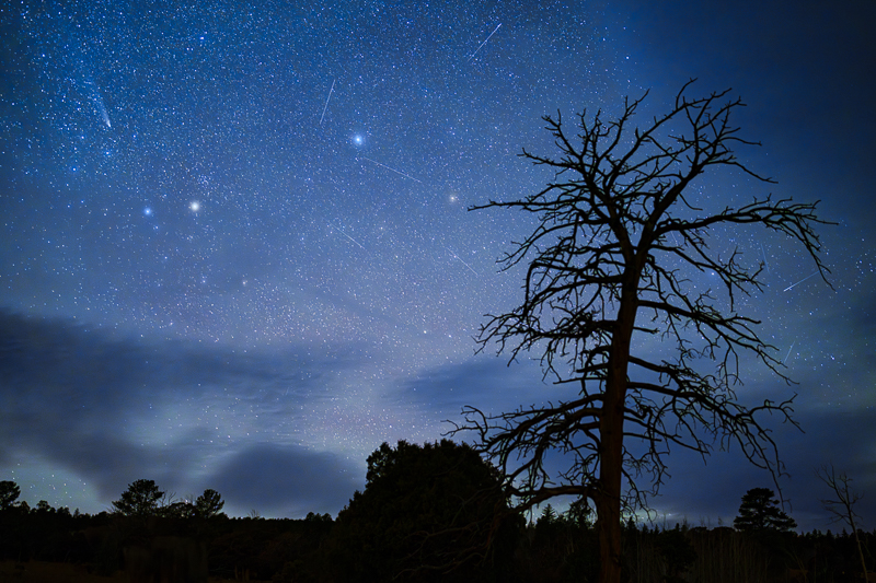 Stars