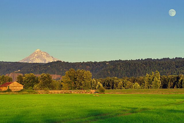 Skyline on the hay fields.