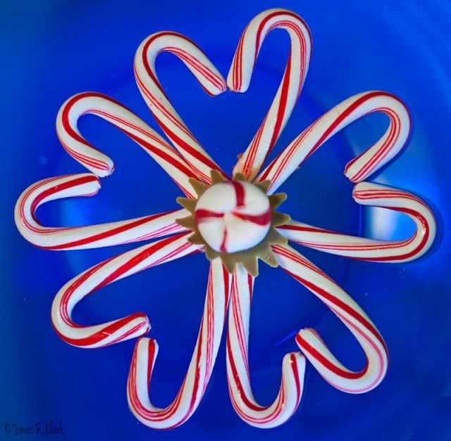 Candy Cane Flower