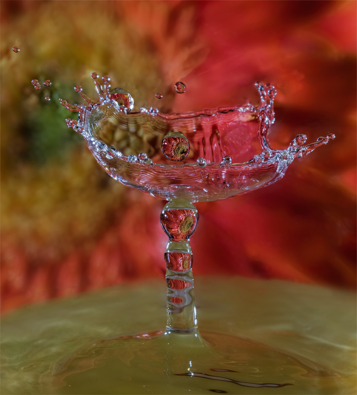 Water Flowers