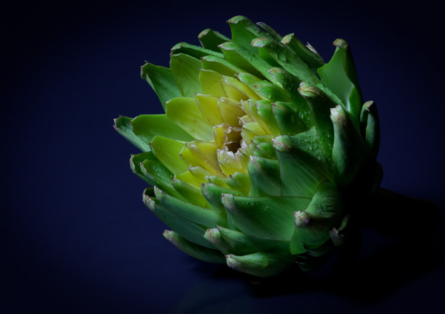 Artichoke
