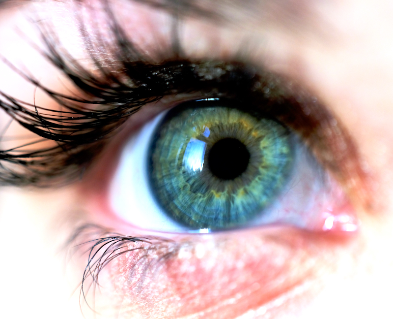 "Eye"-ris