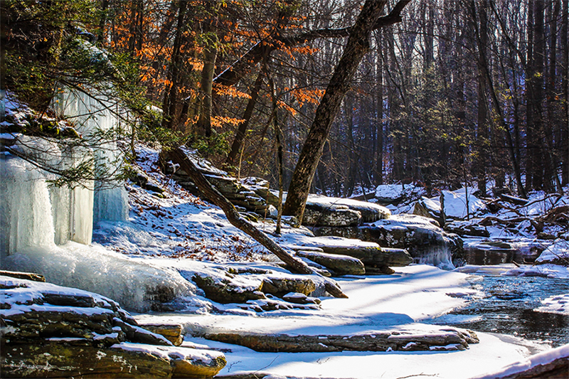 Frozen