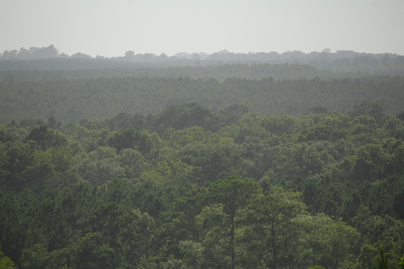 East Texas and some Saharan Dust
