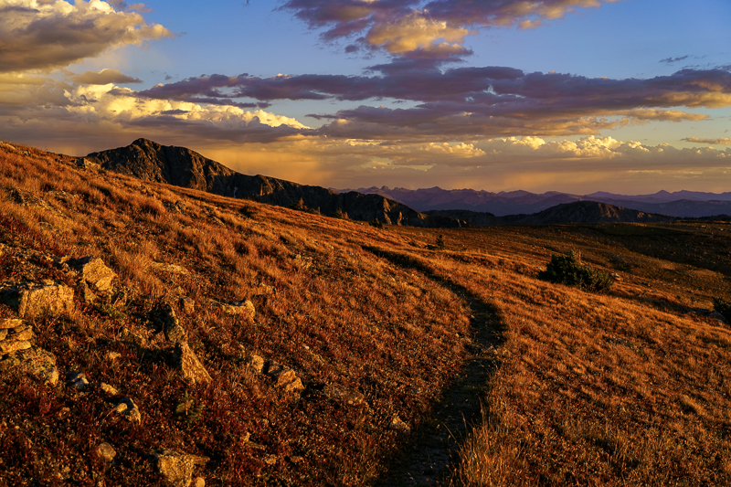 Path