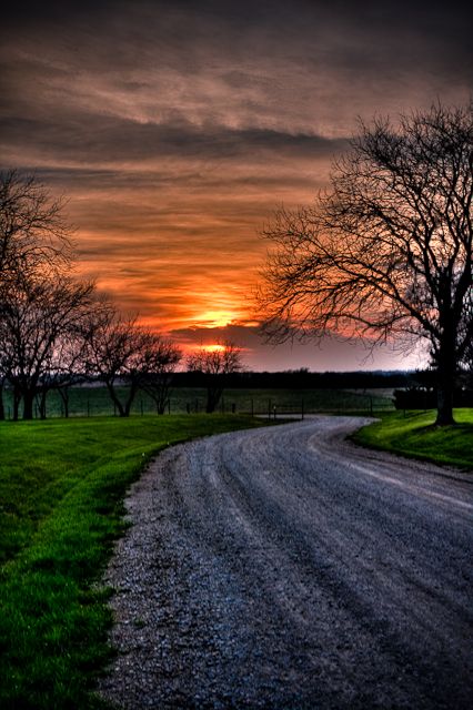 Landscapes