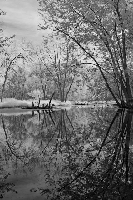 Looking Glass