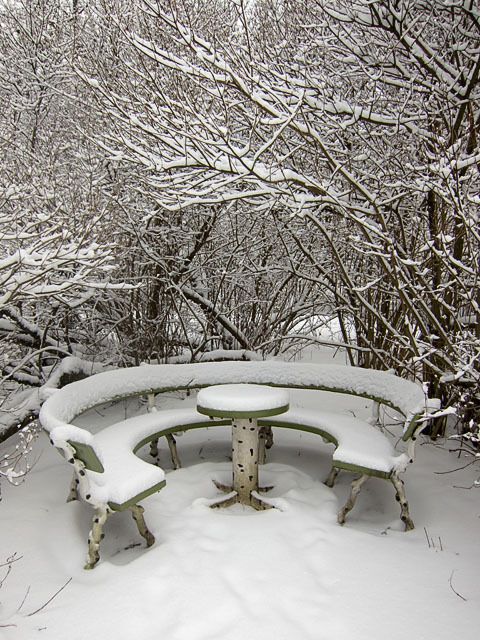 A cold garden