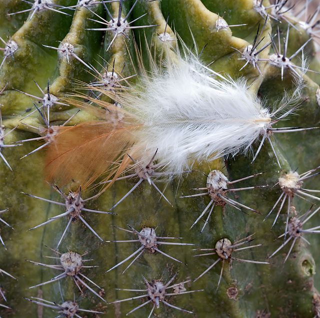 Subtle &amp; Soft vs Abrupt &amp; Prickly