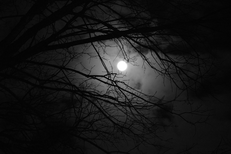 Light in the Darkness