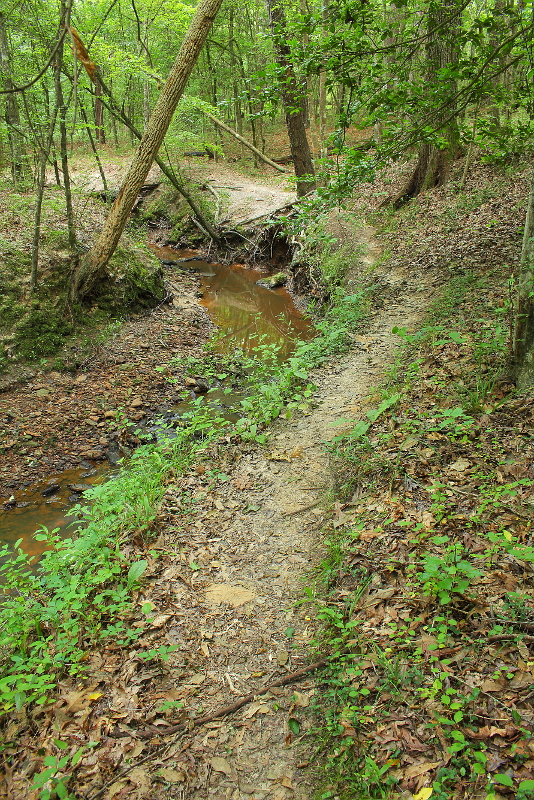 The Stream