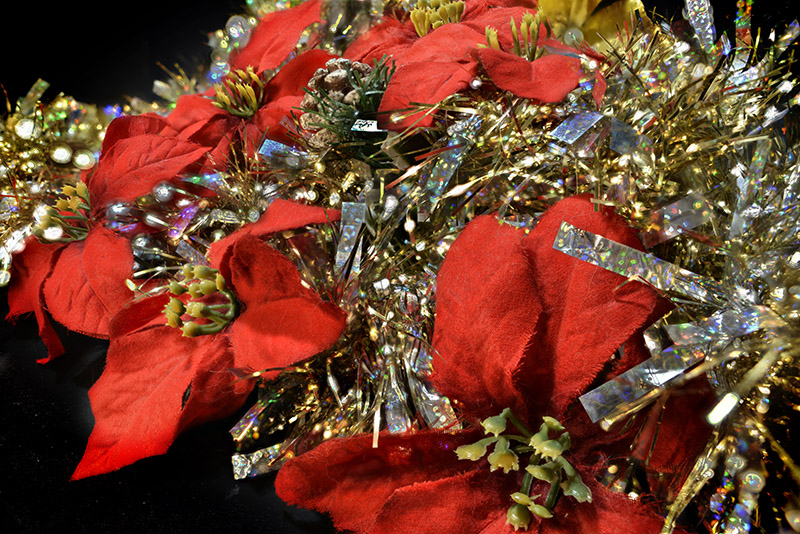 Amazing AI Poinsettia
