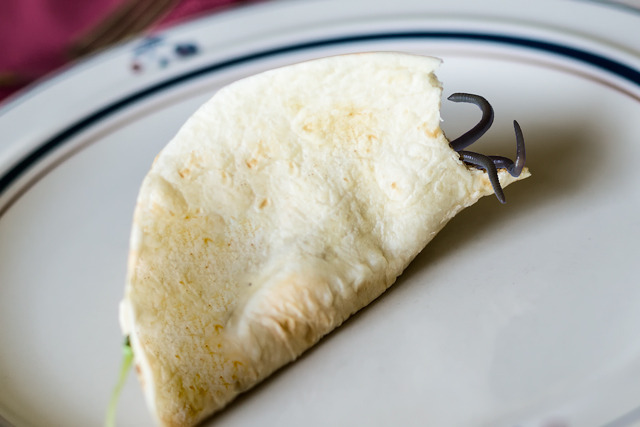 Creepy Crawler Taco