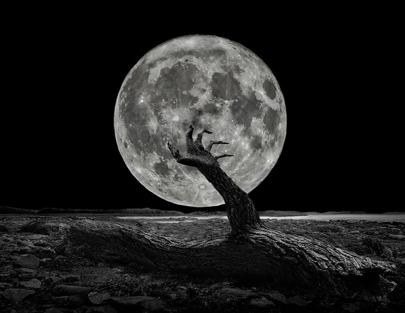 Scary Limb