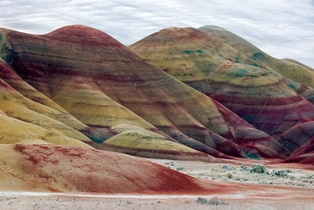 Nature's Paint