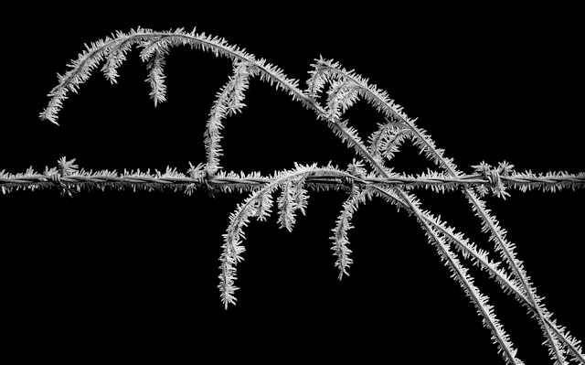 Spikey Contrast