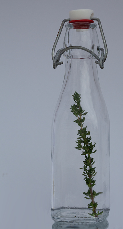 Jim Croce - Thyme in a Bottle