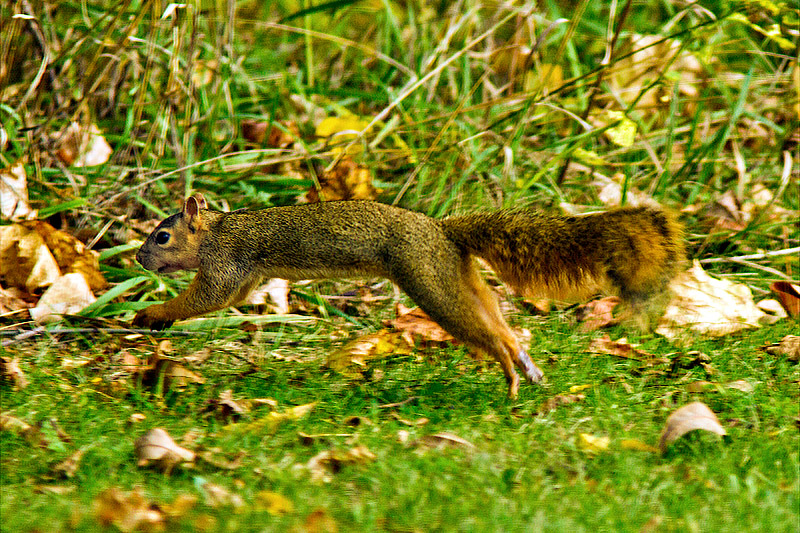 Running in the Sun