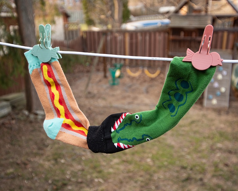 hungry gator
