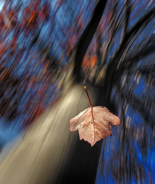 Unusual perspective