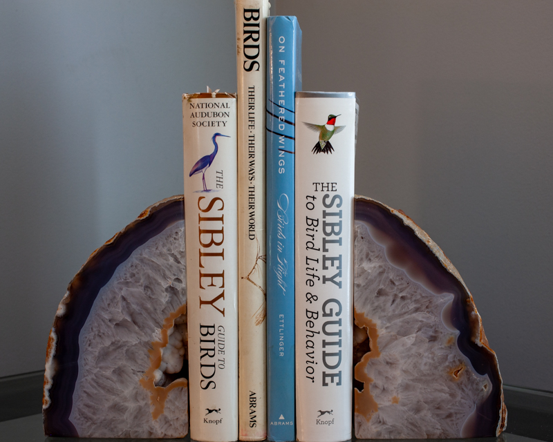 Avian Encyclopedias...