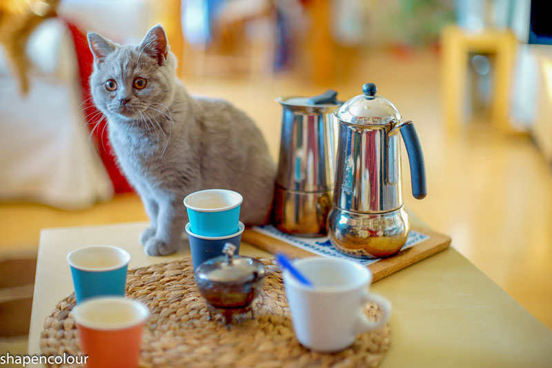 One more for coffee today?