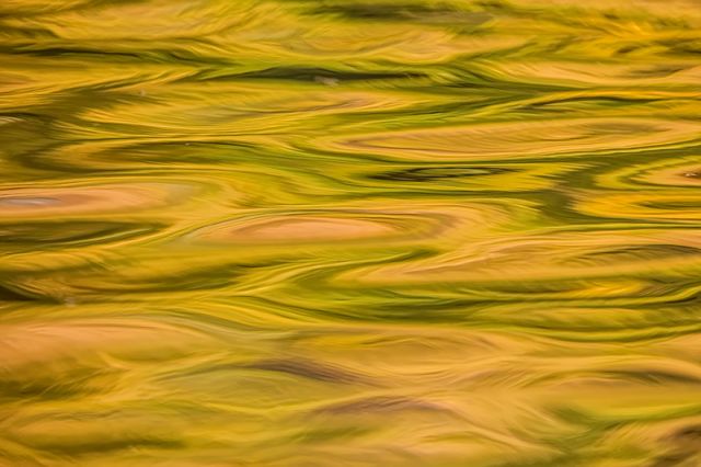 Autumnal Blur