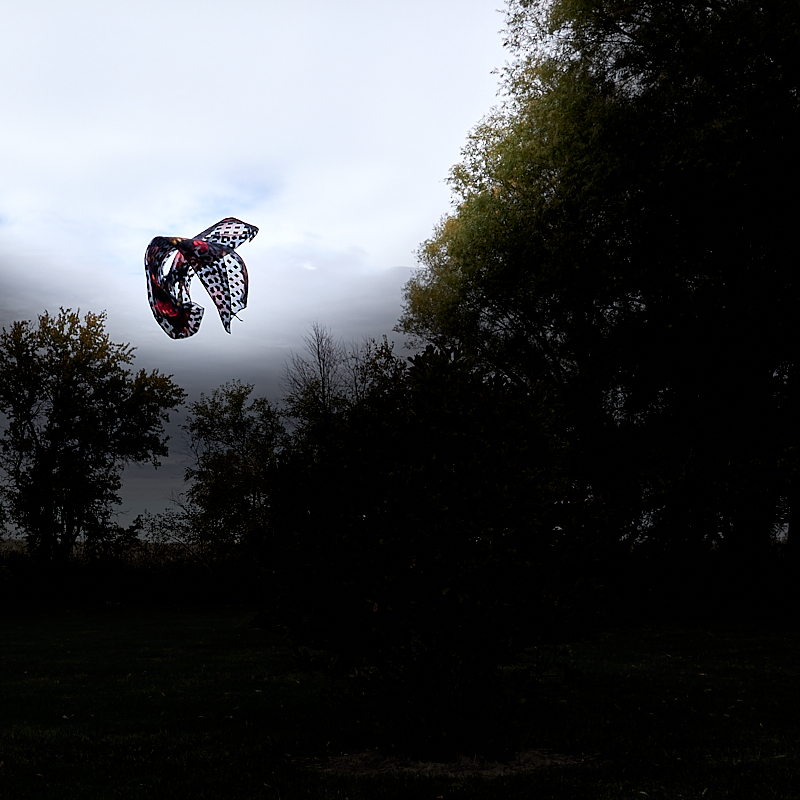 Blowing in the wind