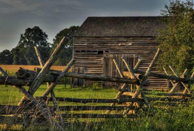 'Sunlit' Rustic