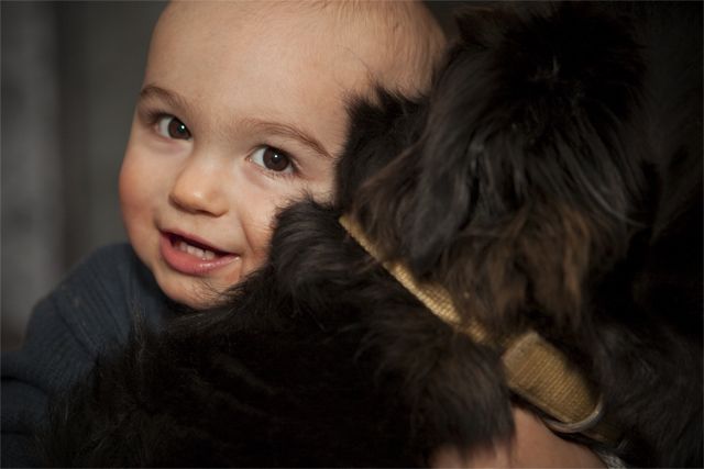 Puppy Love