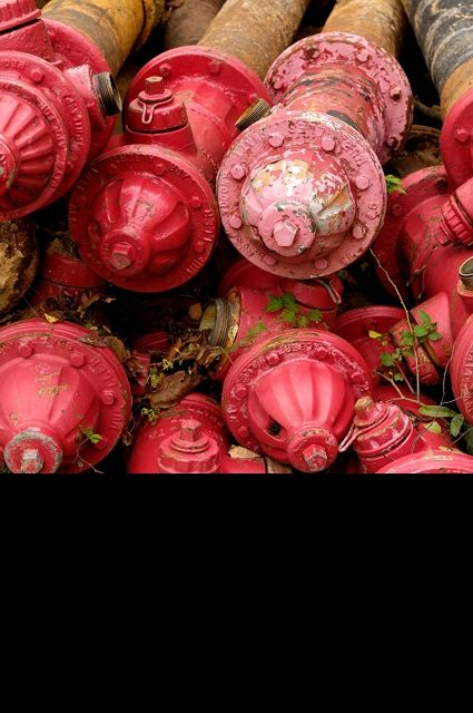 Fire Hydrant Graveyard