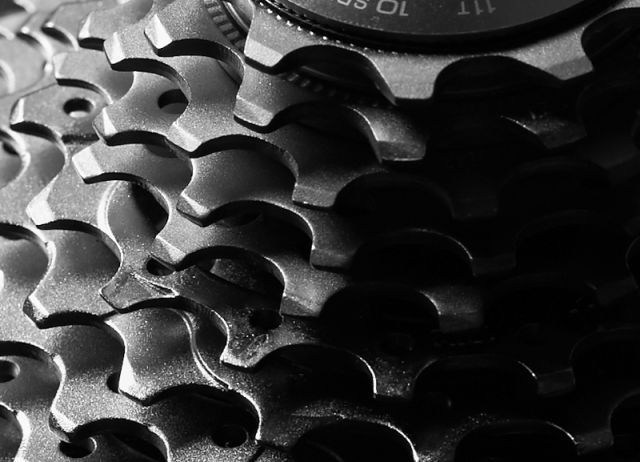 The Cogs