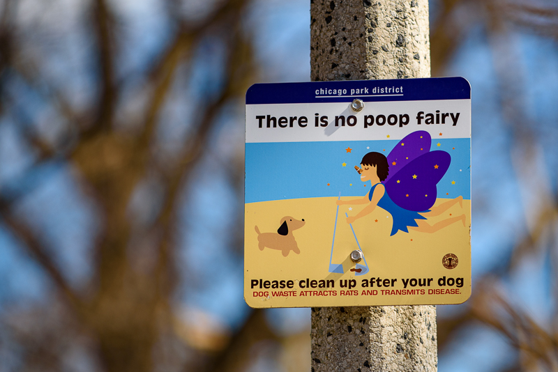 Doggone It